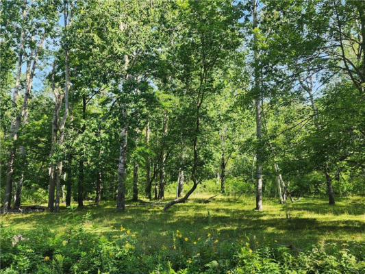 00 NARROW GAUGE, SHELL LAKE, WI 54871 - Image 1