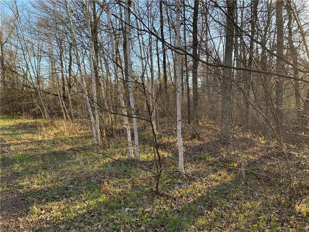 LOT 1 BEAR PAW ROAD, BRUCE, WI 54819, photo 1 of 6