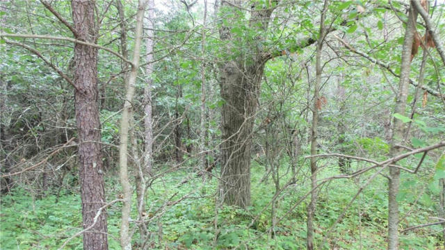 LOT 1 BUR OAK TRL, GRANTSBURG, WI 54840, photo 4 of 9