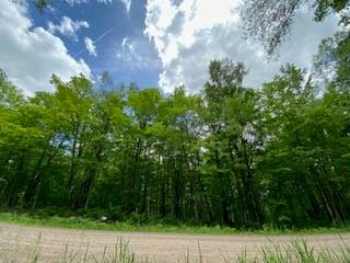 LOT 4 KERRY DRIVE, BIRCHWOOD, WI 54817 - Image 1