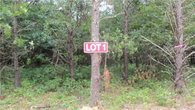 LOT 1 BUR OAK TRL, GRANTSBURG, WI 54840, photo 2 of 9