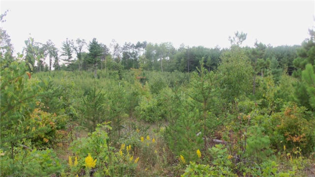 LOT 2 HIGH RIDGE TRL, WEBSTER, WI 54893, photo 5 of 5