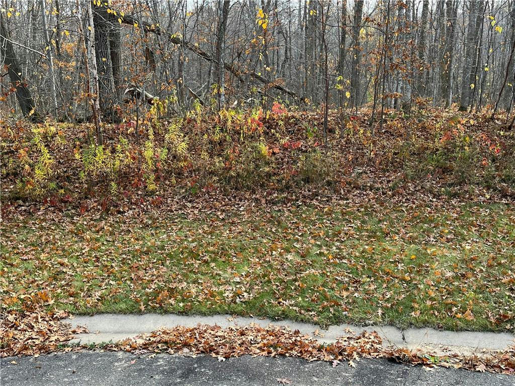 LOT 17 WILDERNESS HILLS LANE, LUCK, WI 54853, photo 1 of 19