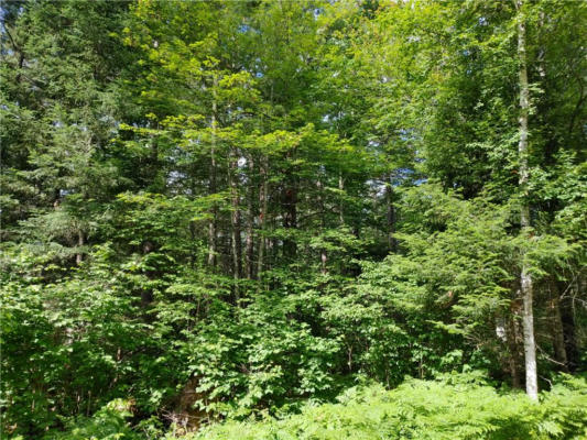 LOT 15 HEMLOCK COURT, CABLE, WI 54821, photo 5 of 9