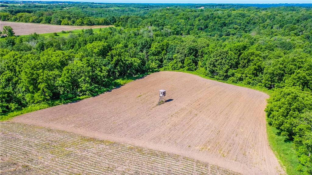 TBD OAK GROVE RIDGE ROAD, EASTMAN, WI 54626, photo 1 of 16